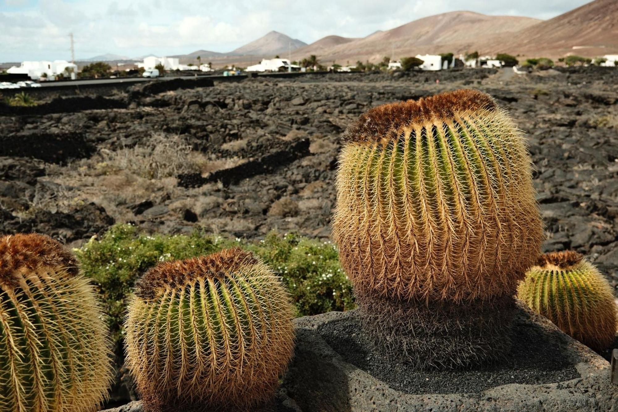Casa Layka, Con Maravillosas Vistas Al Mar Appartement La Asomada (Lanzarote)
